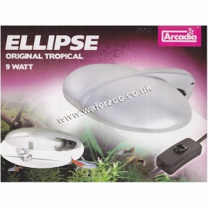 Arcadia Ellipse 9w